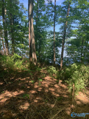 LOT 53 SPYGLASS LOOP, CHEROKEE, AL 35616, photo 2 of 6