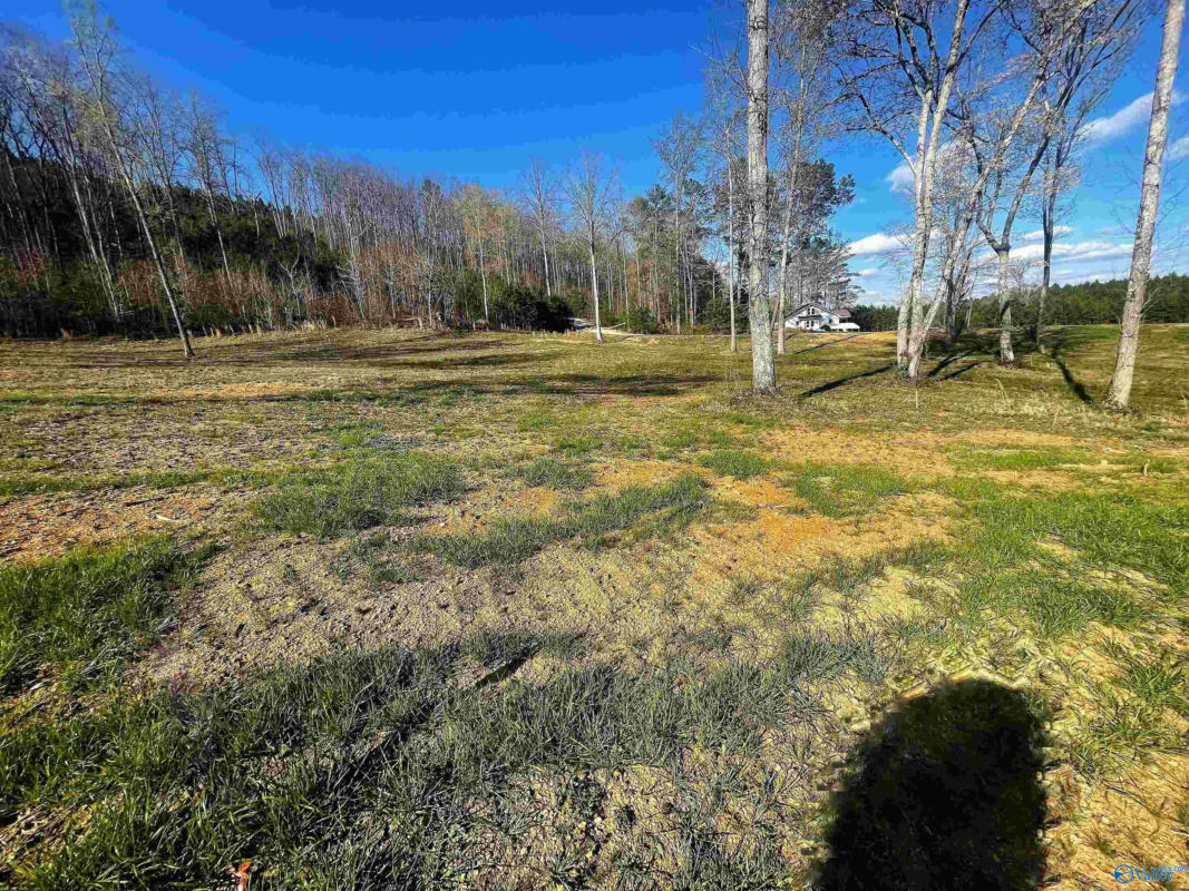 LOT 12 THOMPSON ROAD # LOT 12, ALTOONA, AL 35952, photo 1 of 3