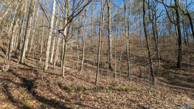 LOT 12 COUNTY ROAD 137, CEDAR BLUFF, AL 35959, photo 3 of 9