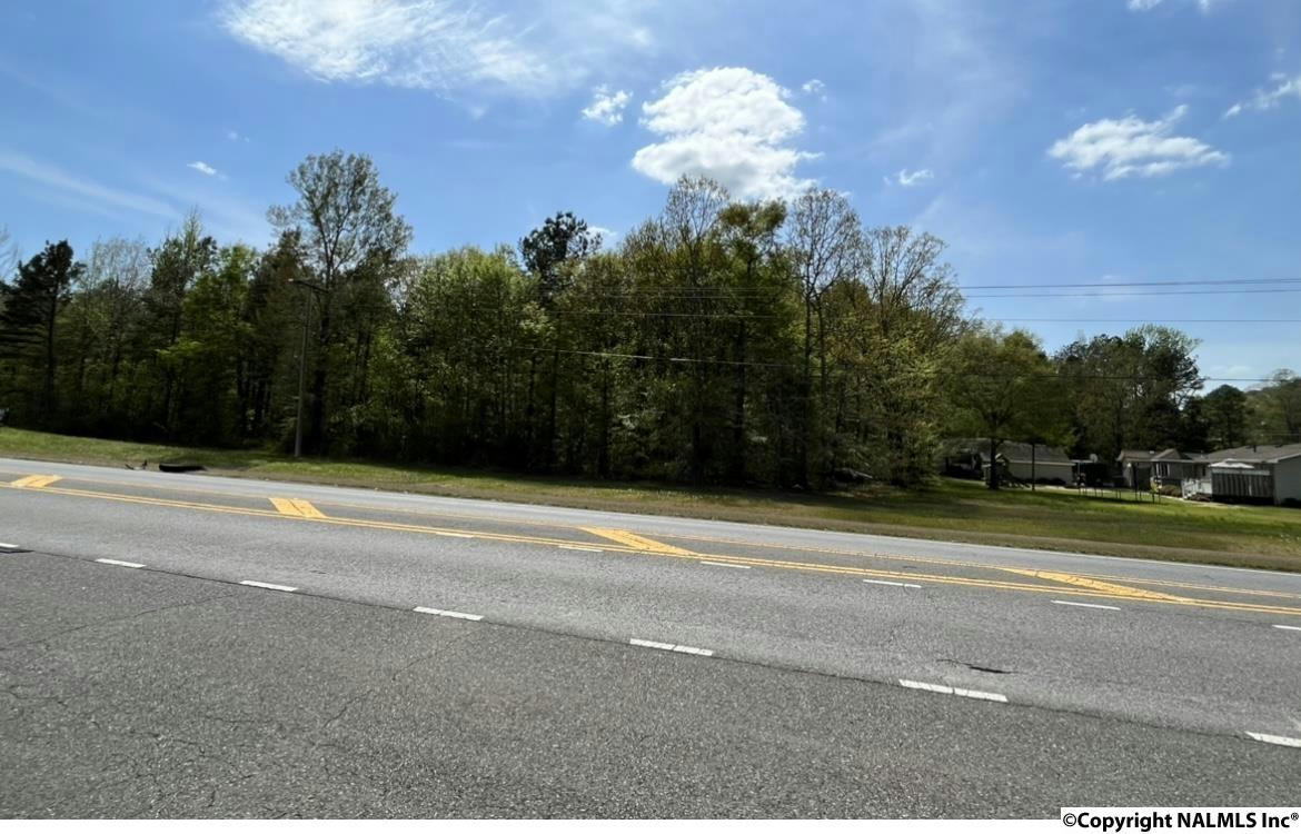 NA CHESNUT BYPASS, CENTRE, AL 35960, photo 1 of 4