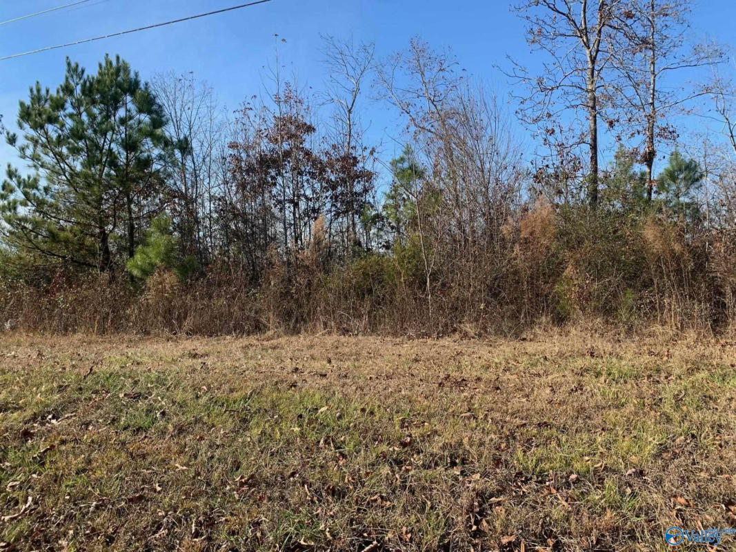 19.5 ACRES MCCRARY ROAD, HOLLYWOOD, AL 35752, photo 1 of 7