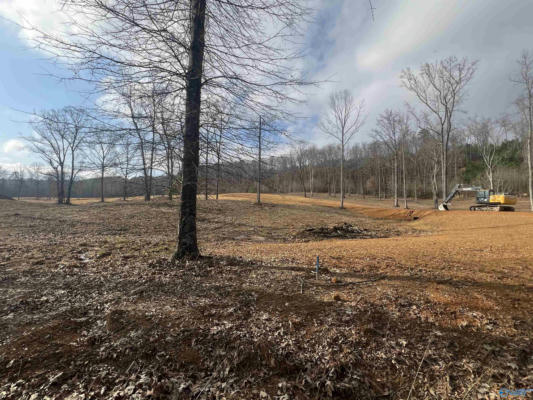 LOT 3 THOMPSON ROAD, ALTOONA, AL 35952, photo 3 of 47