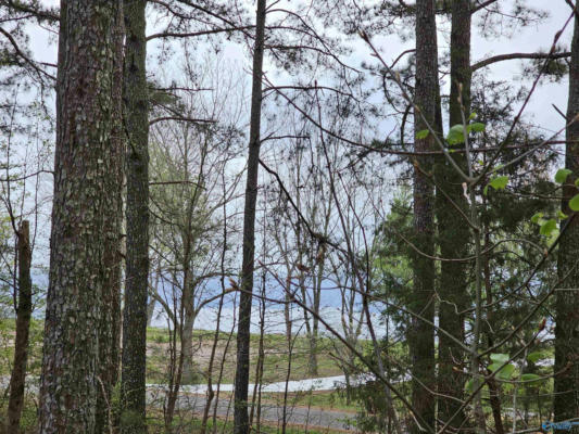 1.12+/- ACRES 0 SCENIC DRIVE, SECTION, AL 35771, photo 2 of 41