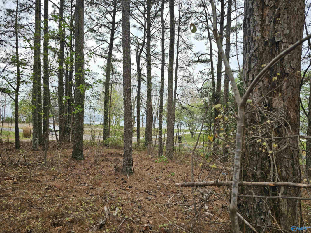 1.12+/- ACRES 0 SCENIC DRIVE, SECTION, AL 35771, photo 1 of 41