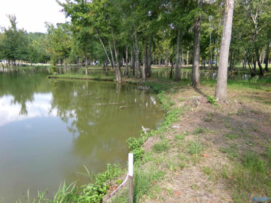 LOT 20 COUNTY ROAD 182, CEDAR BLUFF, AL 35959 - Image 1